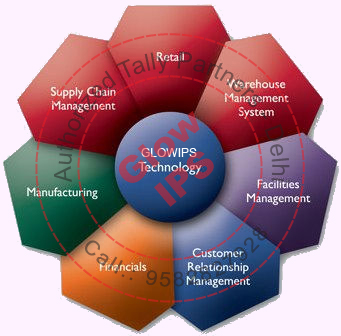 Tally Academy Glow IPS-Delhi